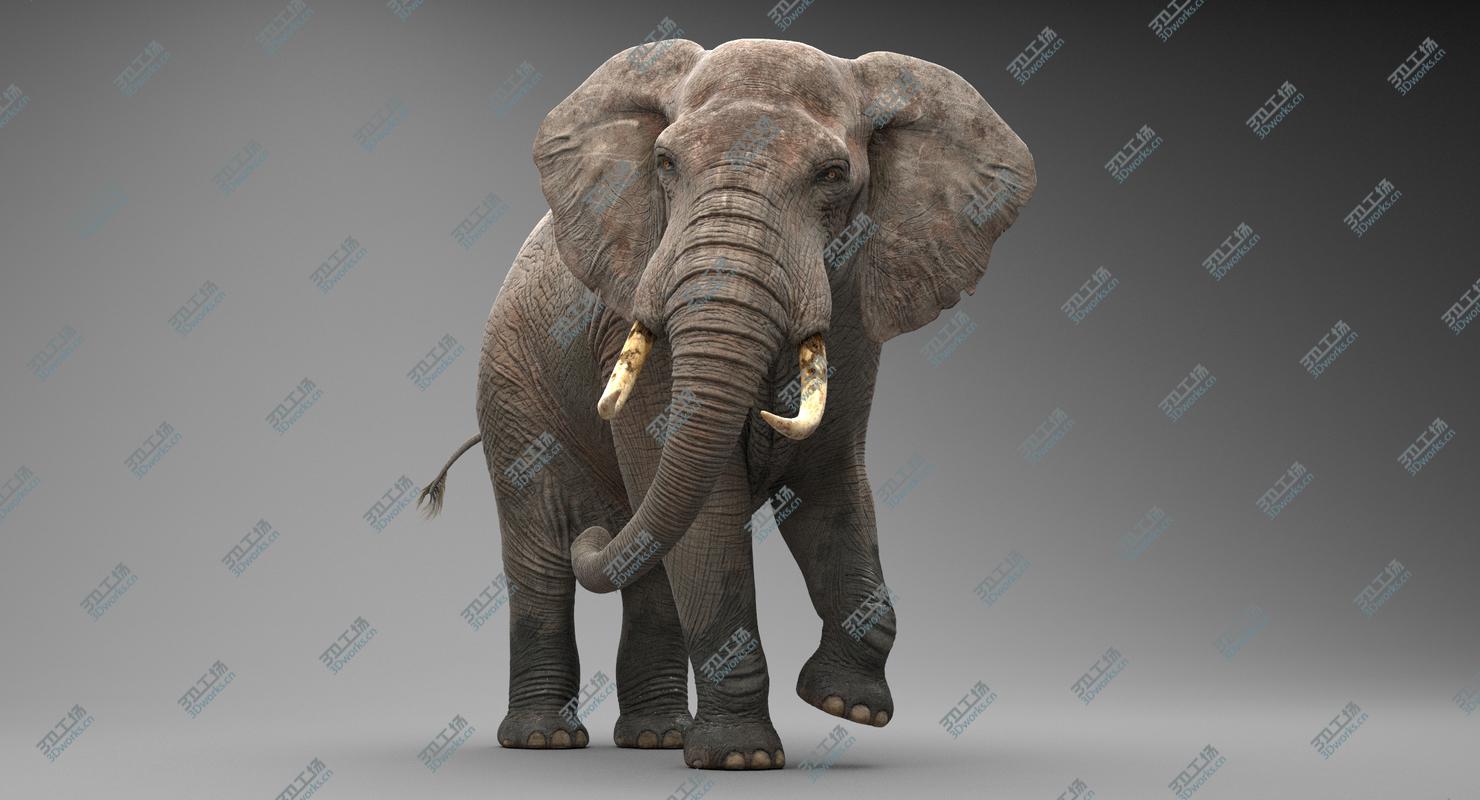 images/goods_img/20210113/Elephant Rigged/1.jpg